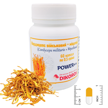 Power++ microdosing Cordyceps military + mycelium (Cordyceps militaris) 60 capsules of 0.5 grams ККМ-6005 — Dikoros