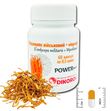 Мікродозінг Power++ Кордицепс військовий + міцелій (Cordyceps militaris) 60 капсул по 0,5 грама ККМ-6005 — Dikoros