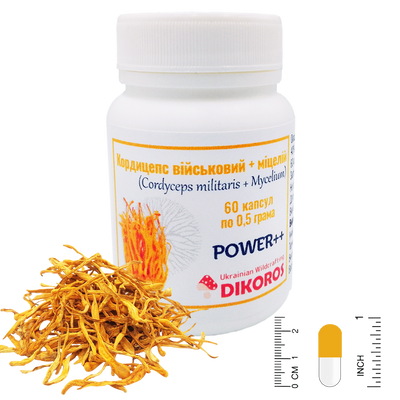 Power++ microdosing Cordyceps military + mycelium (Cordyceps militaris) 60 capsules of 0.5 grams