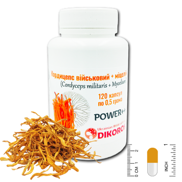 Микродозинг Power++ Кордицепс военный + мицелий (Cordyceps militaris) 120 капсул по 0,5 г ККМ-1205 &mdash; Dikoros
