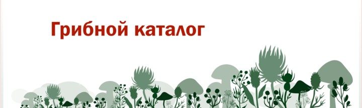Каталог дикорастущих грибов Украины