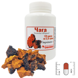 Mushroom "Chaga" 0.35 grams 120 capsules ГЧ-1005 фото — Dikoros