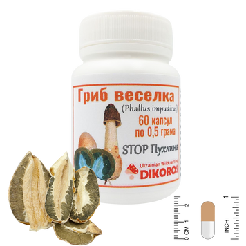 Common rainbow mushroom (Phallus impudicus) Antitumor 60 capsules of 0.5 grams ГВ-6005 — Dikoros