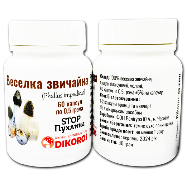 Common rainbow mushroom (Phallus impudicus) Antitumor 60 capsules of 0.5 grams ГВ-6005 &mdash; Dikoros