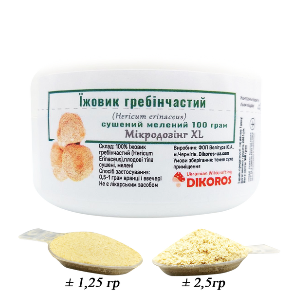 Microdosing XL Hericium erinaceus powder in a jar of 100 grams