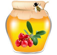 Cream-honey with lingonberries - 0.55 liters