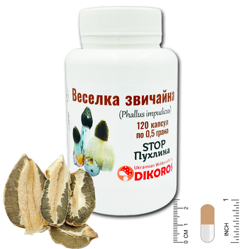 Гриб Веселка обыкновенная (Phallus impudicus) Антиопухоль 120 капсул по 0,5 г ГВ-1205 &mdash; Dikoros
