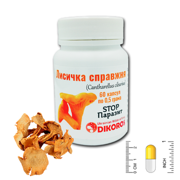 Лисичка справжня (Cantharellus cibarius) Stop Паразит 60 капсул по 0,5 грама ГЛ-6005 — Dikoros