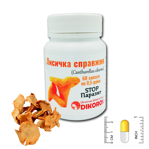 Chanterelle (Cantharellus cibarius) Stop Parasite 60 capsules of 0.5 grams ГЛ-6005 — Dikoros