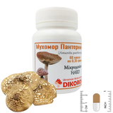 Panther mushroom in capsules (lat. Amanita panteria) 0.35 grams МХМП-6035 фото — Dikoros