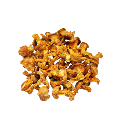 Chanterelle (Cantharellus cibarius) dried, Extra variety - 1 gram