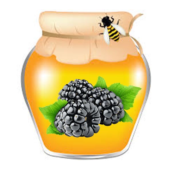 Cream-honey with blackberry - 0.55 liters