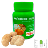 Микродозинг MIX Brain Booster Микс ежовиков + мицелий 60 капсул по 0,5 г ЇМК-6005 фото — Dikoros