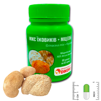 Микродозинг MIX Brain Booster Микс ежовиков + мицелий 60 капсул по 0,5 г ЇМК-6005 — Dikoros