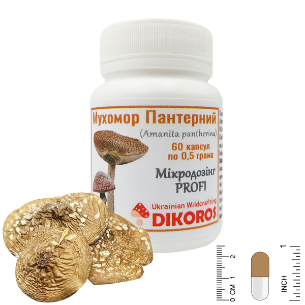 Microdosing PROFI Amanita pantherina 60 capsules of 0.5 grams