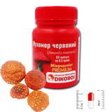 Microdosing Premium Red amanita (Amanita muscaria) 60 capsules of 0.5 grams МХМКП-6005Ч фото — Dikoros