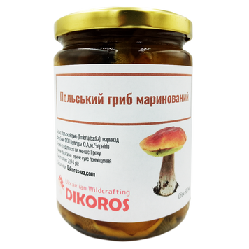 Pickled Polish mushroom (Imleria badia) 500 ml ПГМ-03 — Dikoros