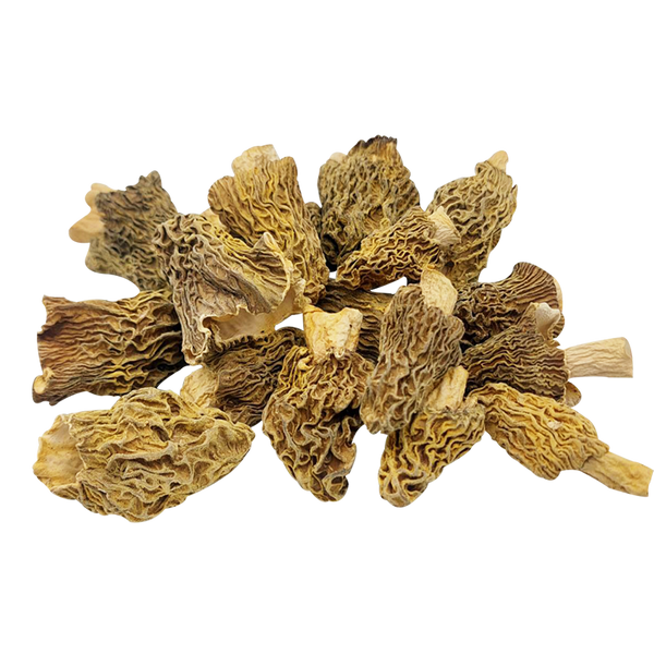 Verpa bohemica dried, 1 grade - 50 grams