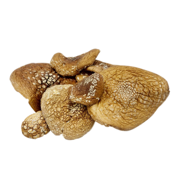 Amanita pantherina (Amanita pantherina) dried caps - 1 gram МХМП-01С — Dikoros