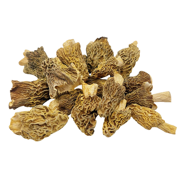 Verpa bohemica (lat. Verpa bohemica) dried, powder 1 grade - 50 grams СШ-01СП50 — Dikoros