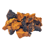 Chaga (Inonotus obliquus) dried - 1 gram ЧБ-01С фото — Dikoros