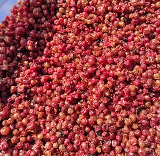 Брусниця (Vaccinium vitis-idaea L.) сушена - 100 грам БР-01С фото