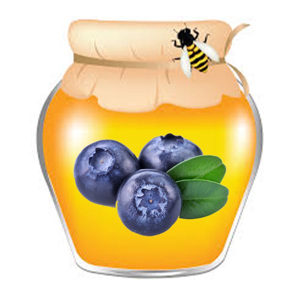 Cream-honey with blueberries "Zir Sokol" - 0.55 liters