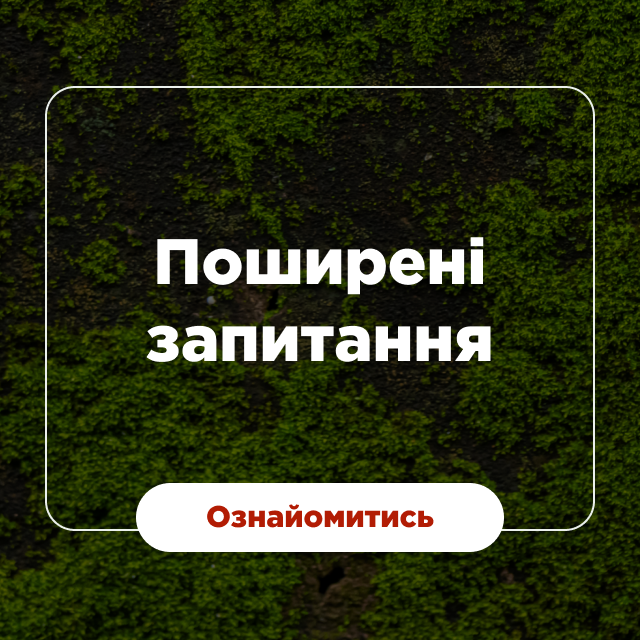 Dikoros онлайн магазин грибної продукції