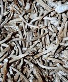 Legs of panther amanita (dried, cut) - 1 gram НМХМП-01С фото — Dikoros