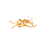 Cordyceps КС-01С фото — Dikoros