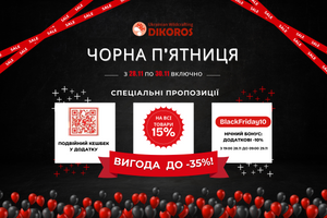 Black Friday 2025