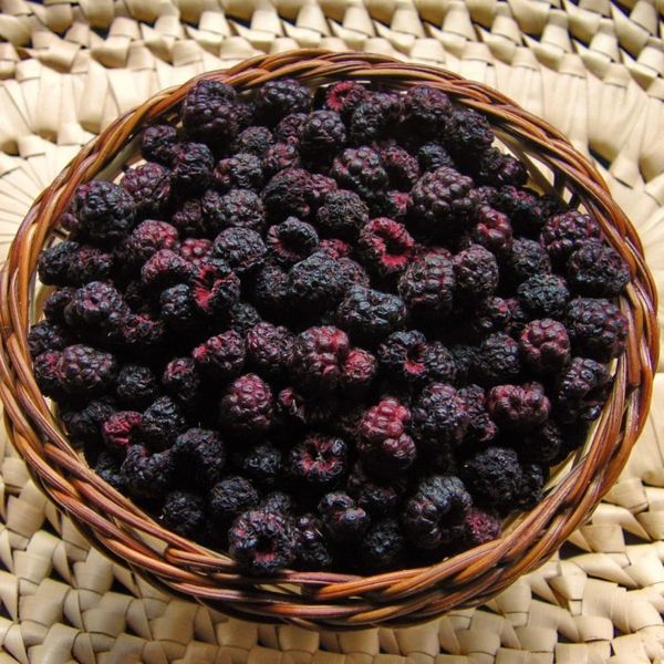 Dried blackberry (Eubatus) - 100 grams