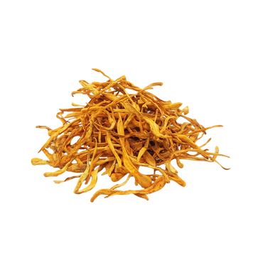 Кордицепс військовий (Cordyceps) сушений, 50грам КС-50С — Dikoros