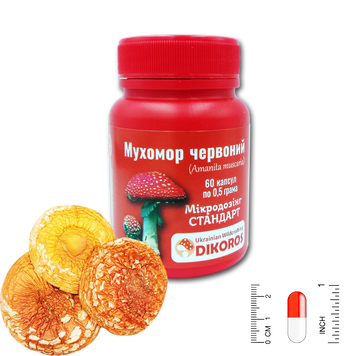 Microdosing Standart Mushroom red (Amanita muscaria) 0.5 grams 60 capsules 2024 МХМК-600524 — Dikoros