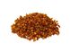 Sea buckthorn (Hippophae rhamnoides) dried - 100 grams