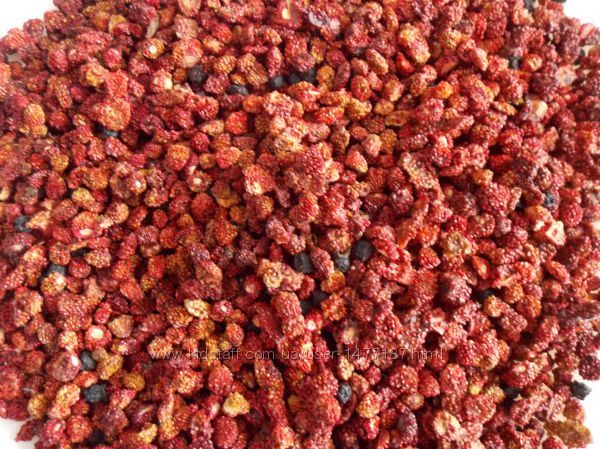 Forest strawberries (Fragaria vesca) dried berries - 100 grams