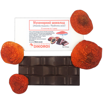 Chocolate with amanita 100 g - 15 bars of 1 g amanita ШМ-15 — Dikoros