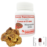 Royal fly agaric (Amaníta regális) microdosing king 0.5 grams  МХМКР-600524 фото — Dikoros