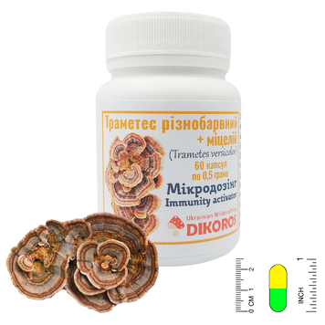 Microdosing Immunity activator Trametes + mycelium 60 capsules of 0.5 grams ТРМ-6005 — Dikoros