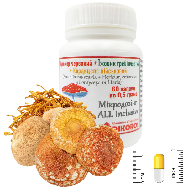 Microdosing ALL Inclusive Red toadstool + Comb hedgehog + Cordyceps military 60 capsules of 0.5 g