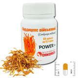 Cordyceps 0.5 grams 60 capsules КК-6005 фото — Dikoros