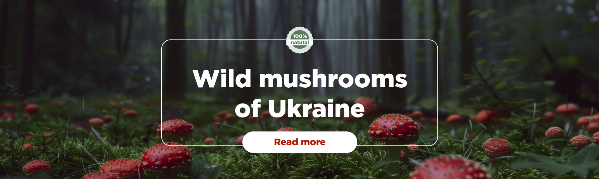 Dikoros is a manufacturer of mushroom products