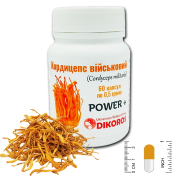 Microfosing Power+ Cordyceps military (Cordyceps militaris) 60 capsules of 0.5 grams КК-6005 — Dikoros