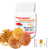 Sport MIX Мухомору червоного (Amanita muscaria) та Кордицепсу військового (Cordyceps militaris) 60 капсул по 0,5 грама МХМС-6005 фото — Dikoros