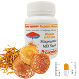 Sport MIX of red amanita (Amanita muscaria) and Cordyceps military (Cordyceps militaris) 60 capsules of 0.5 grams each МХМС-6005 фото — Dikoros