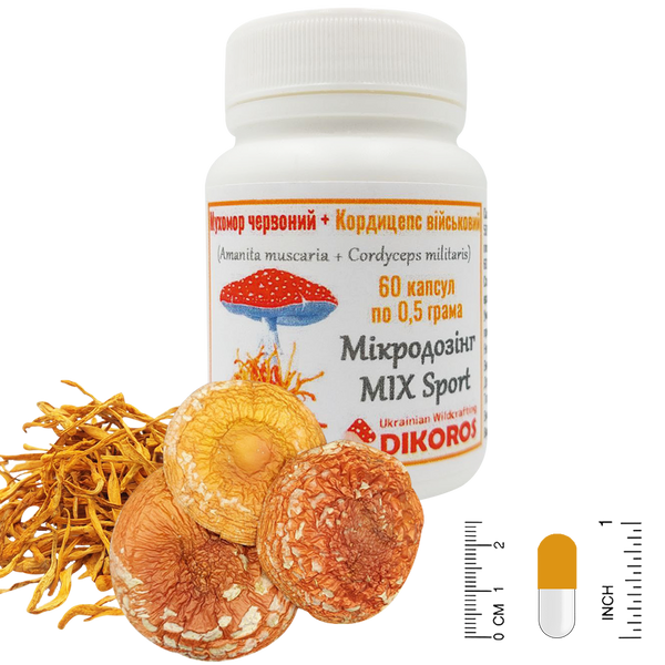 Microdosing MIX Sport of red amanita (Amanita muscaria) and Cordyceps military (Cordyceps militaris) 60 capsules of 0.5 grams each