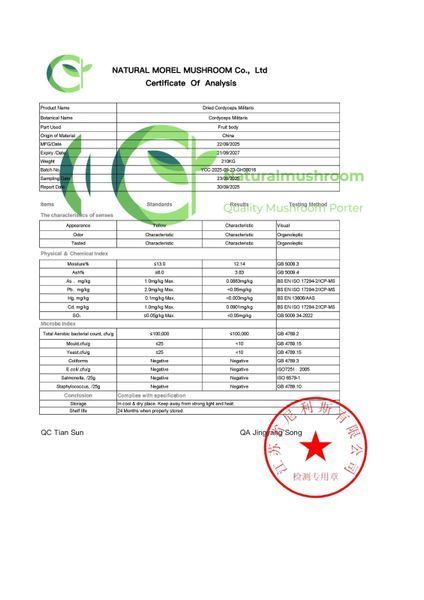 Кордицепс военный (Cordyceps) XL Power+ порошок в баночке 150 грамм KKП-100П &mdash; Dikoros