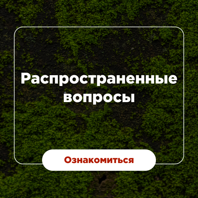 Dikoros онлайн магазин грибной продукции