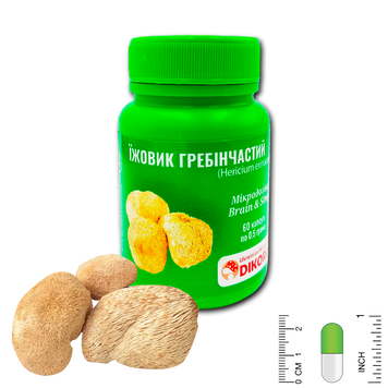 Мікродозінг Brain & Sleep Їжовик гребінчастий (Hericium erinaceus) 60 капсул по 0,5 грама ЕГ-6005 — Dikoros