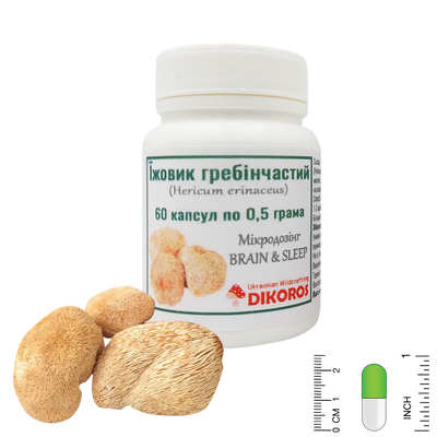 Microdosing Brain & Sleep Hedgehog comb (Hericium erinaceus) 60 capsules 0,5g